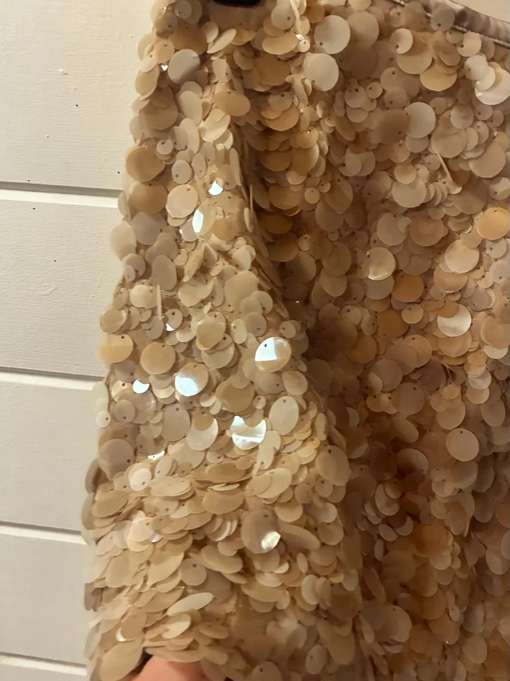 Zara luxe sequined
